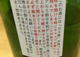 alt 3