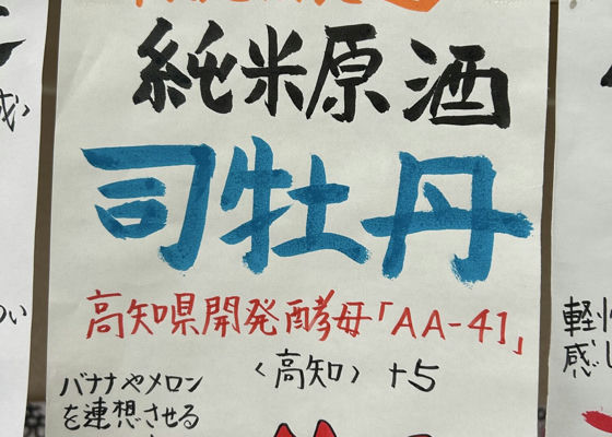 alt 1