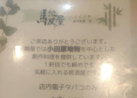 alt 4