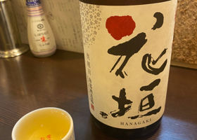 Hanagaki Check-in 1