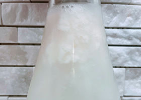 alt 4