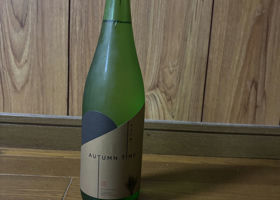 alt 3