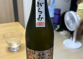 alt 1