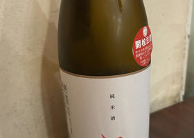 alt 1