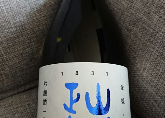 alt 1