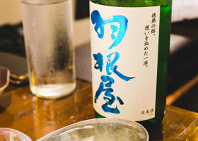 alt 1