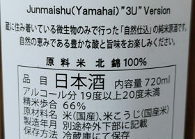 alt 3