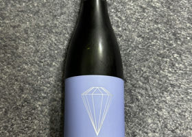 alt 1
