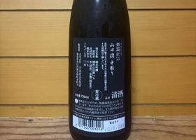 楽器正宗 チェックイン 2