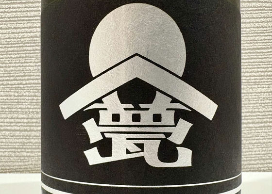 alt 1