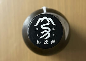 alt 3