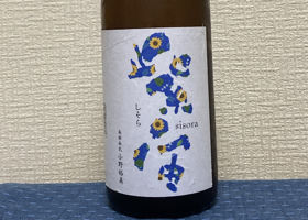 紫宙 チェックイン 1