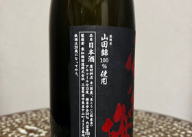 寒紅梅 チェックイン 2