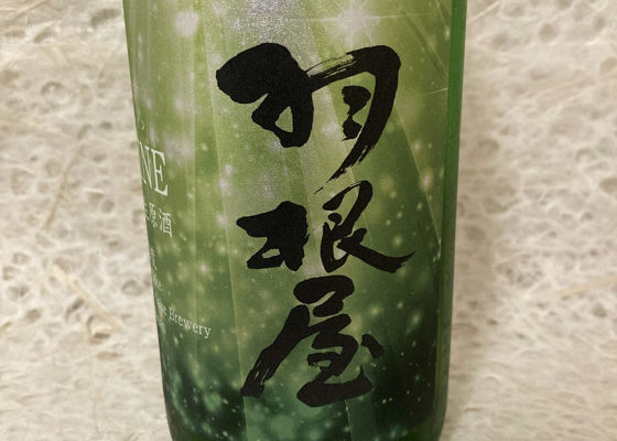 alt 1