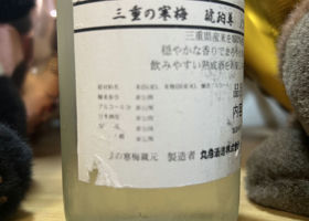 alt 4