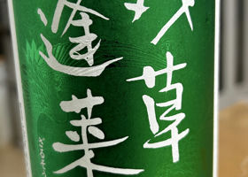 alt 1