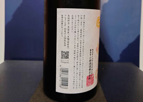 alt 3
