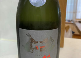 alt 1