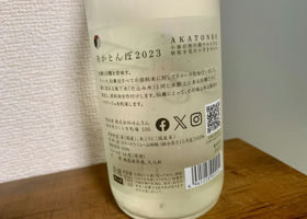 alt 3