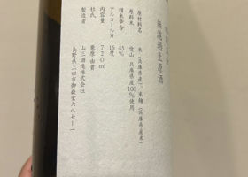 alt 3