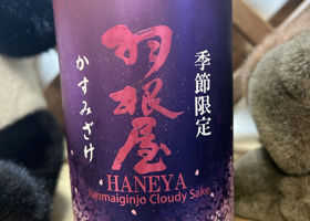 Haneya 签到 3