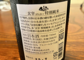 alt 3