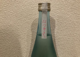 alt 2