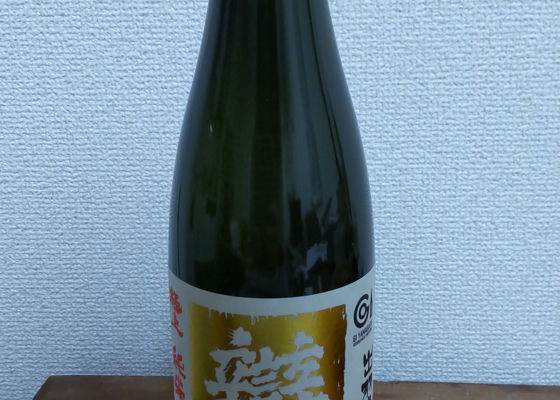 alt 1