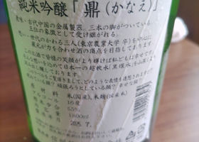 alt 3