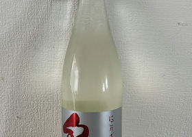alt 3