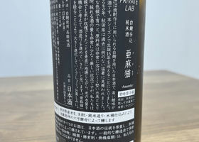 alt 3