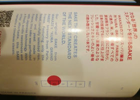 alt 3