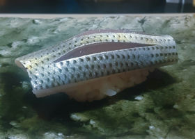 alt 3