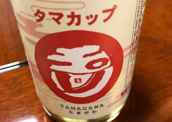 Tamagawa Check-in 1