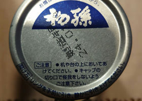 alt 2