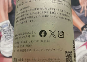 alt 3