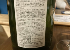 alt 1