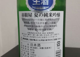 alt 2