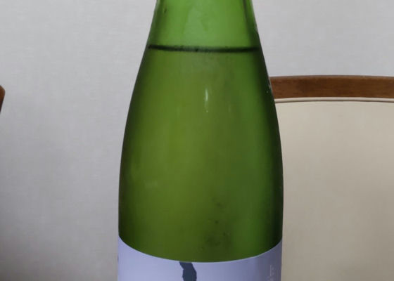 alt 1