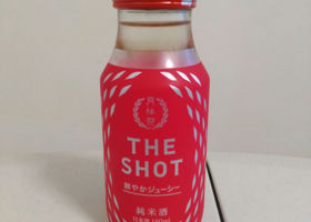 THE SHOT 签到 1