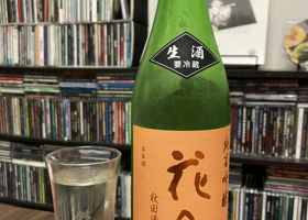 alt 1