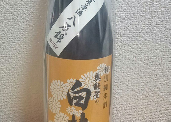 奥能登の白菊