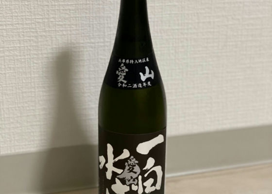 alt 1