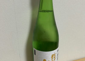 alt 1