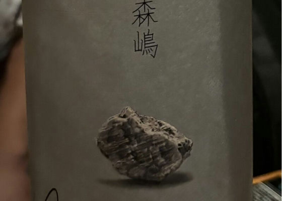 alt 1