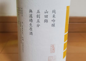 alt 3