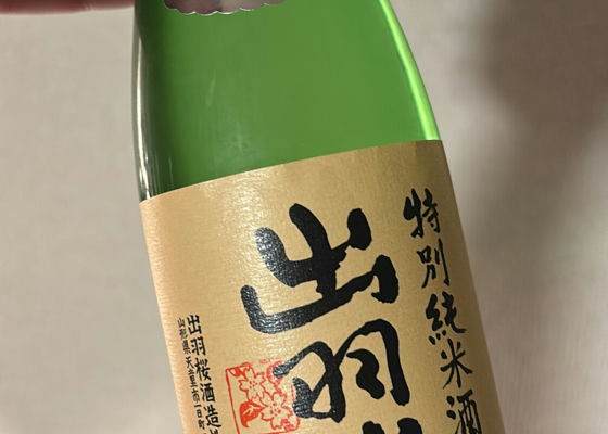alt 1