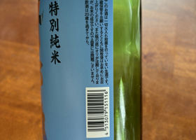 alt 3