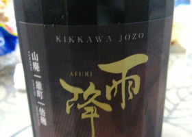alt 1
