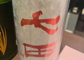 alt 1